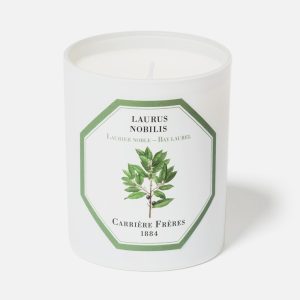 Bay Laurel